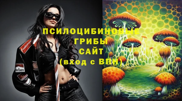 бошки Медногорск