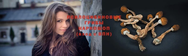 spice Медвежьегорск