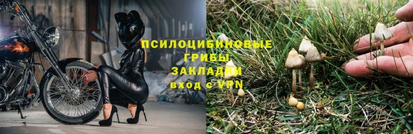 МДПВ Навашино