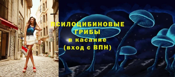 бошки Медногорск
