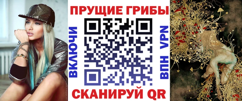 маркетплейс клад  ОМГ ОМГ tor  Псилоцибиновые грибы MAGIC MUSHROOMS  Туран  купить закладку 